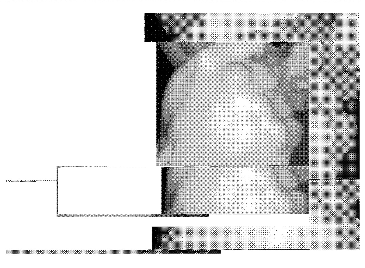 haus-08