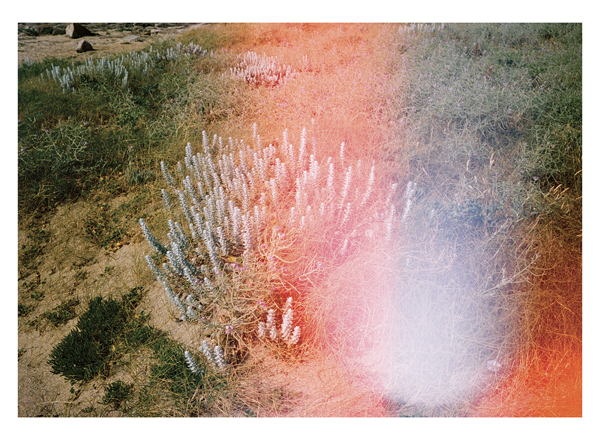 insula-06